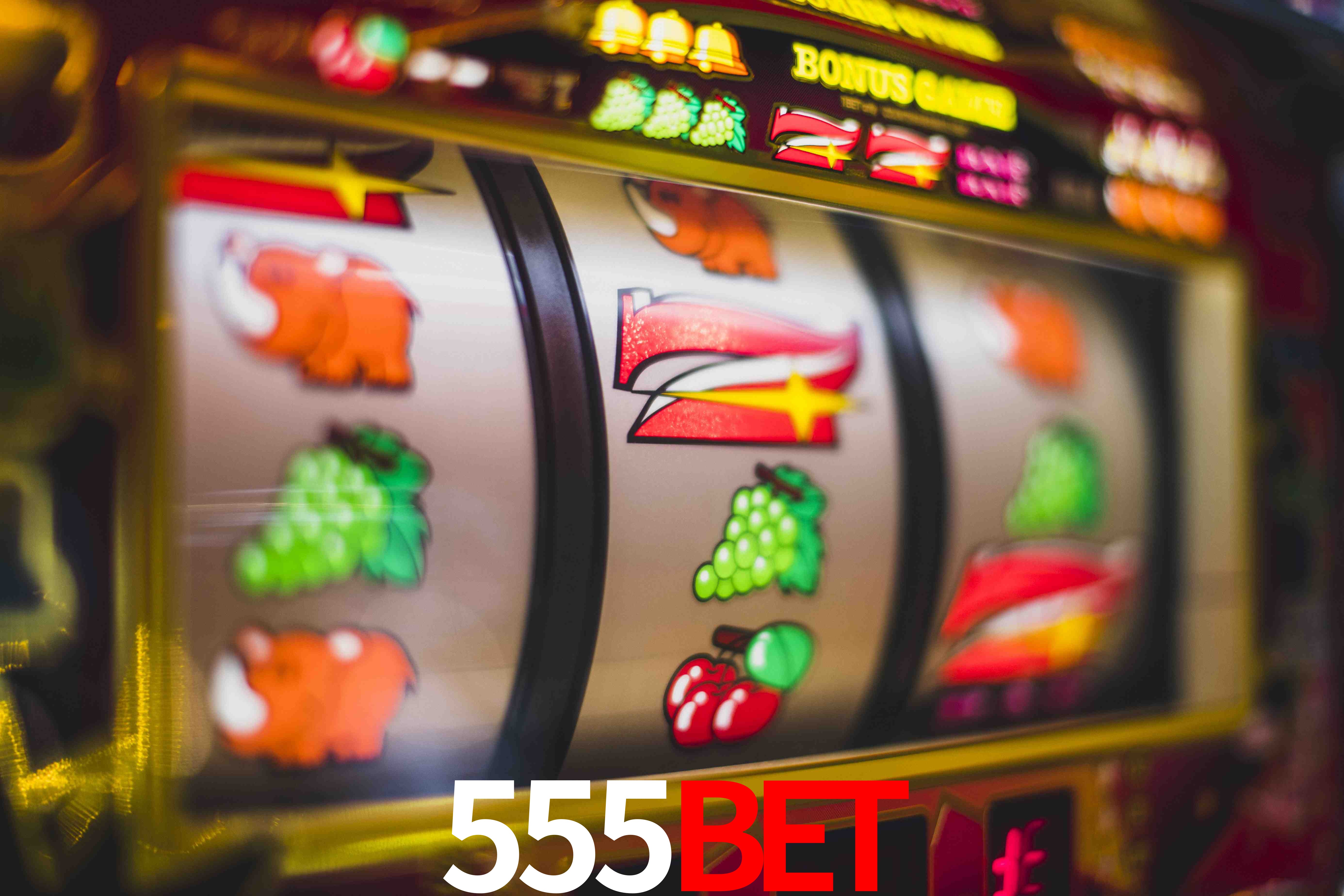 Tennis Betting 555bet
